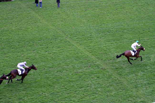 Photo d'arrivée de la course pmu PRIX LILIUM à AUTEUIL le Samedi 18 mars 2017