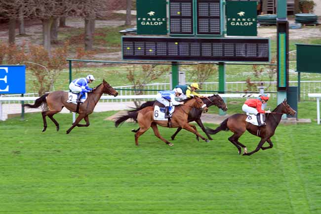 Photo d'arrivée de la course pmu PRIX CALANDRIA à SAINT-CLOUD le Dimanche 19 mars 2017