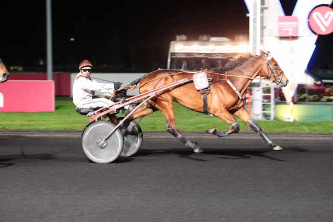 Photo d'arrivée de la course pmu PRIX COELESTINA à PARIS-VINCENNES le Mardi 21 mars 2017