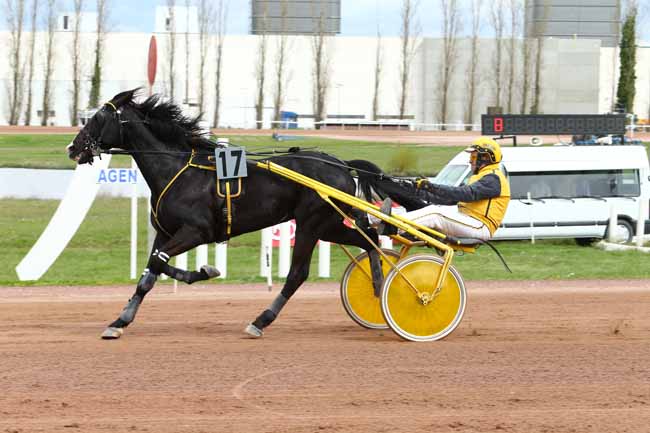 Photo d'arrivée de la course pmu GRAND PRIX DYNAVENA MAISAGRI DURAN à AGEN LE PASSAGE le Mercredi 22 mars 2017