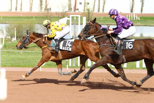 Photo d'arrivée de la course pmu PRIX DE LA VILLE LE PASSAGE à AGEN LE PASSAGE le Mercredi 22 mars 2017