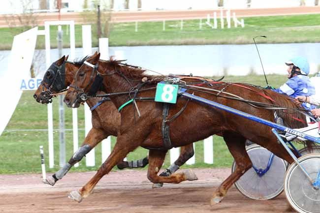 Photo d'arrivée de la course pmu PRIX ROGER LAGENEBRE à AGEN LE PASSAGE le Mercredi 22 mars 2017