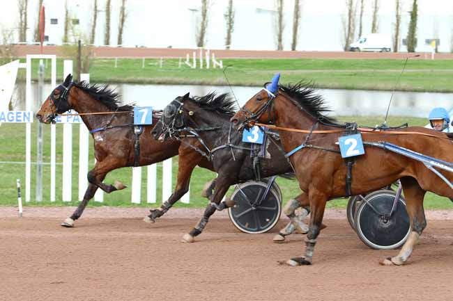 Photo d'arrivée de la course pmu PRIX DE L'ENTREPRISE MALET à AGEN LE PASSAGE le Mercredi 22 mars 2017