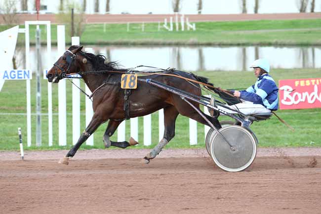 Photo d'arrivée de la course pmu PRIX DU CONSEIL DEPARTEMENTAL DU LOT-ET-GARONNE à AGEN LE PASSAGE le Mercredi 22 mars 2017