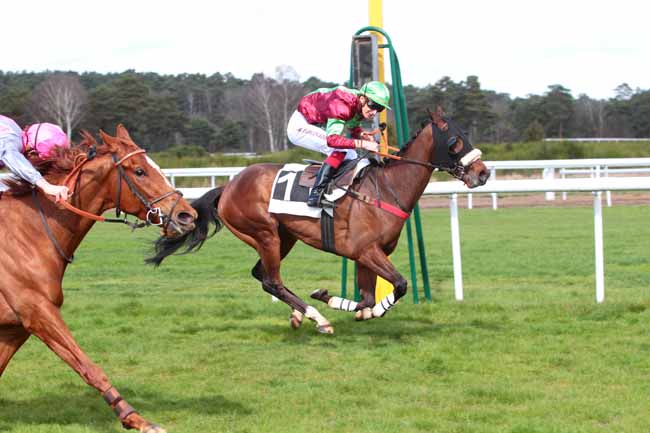 Photo d'arrivée de la course pmu PRIX DU CARREFOUR DE L'OBELISQUE à FONTAINEBLEAU le Mercredi 22 mars 2017