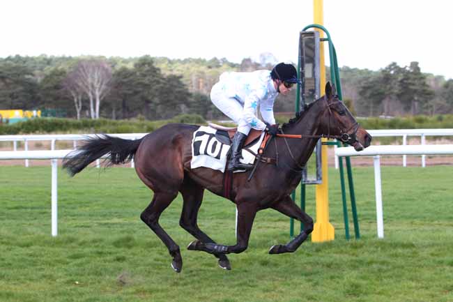 Photo d'arrivée de la course pmu PRIX COLONEL LAPADU-HARGUES à FONTAINEBLEAU le Mercredi 22 mars 2017
