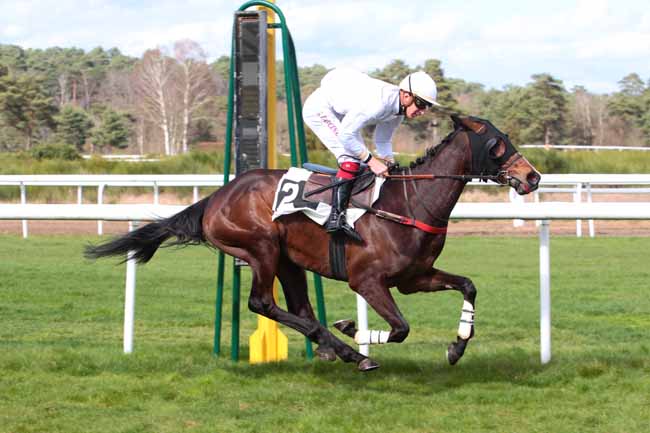 Photo d'arrivée de la course pmu PRIX DU PAVE DU ROY à FONTAINEBLEAU le Mercredi 22 mars 2017