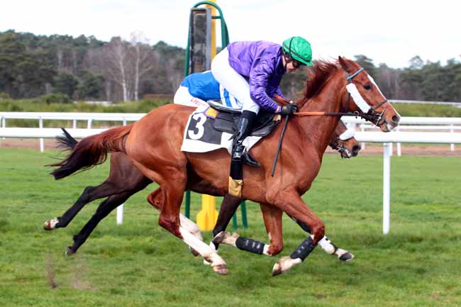 Photo d'arrivée de la course pmu PRIX DE LA SOCIETE DES COURSES DE DIEPPE à FONTAINEBLEAU le Mercredi 22 mars 2017