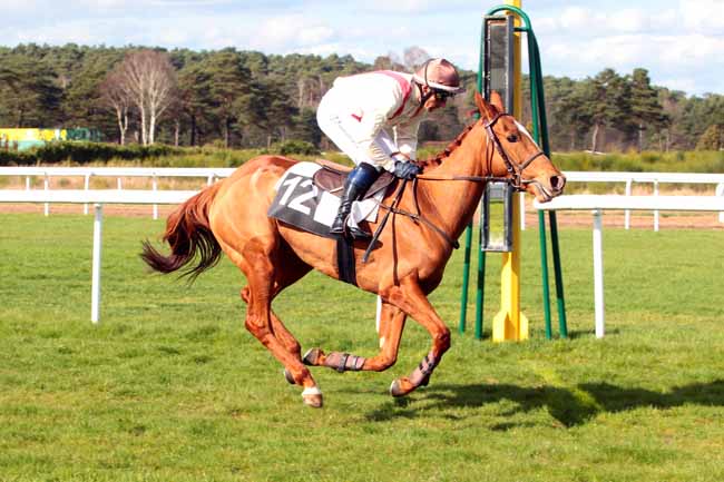 Photo d'arrivée de la course pmu PRIX DE PROVINS à FONTAINEBLEAU le Mercredi 22 mars 2017