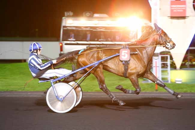 Photo d'arrivée de la course pmu PRIX ADELHEID à PARIS-VINCENNES le Mardi 28 mars 2017