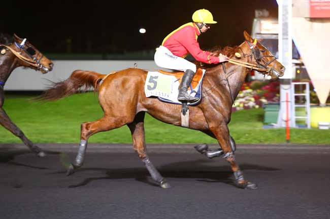 Photo d'arrivée de la course pmu PRIX ALGEIBA à PARIS-VINCENNES le Mardi 28 mars 2017