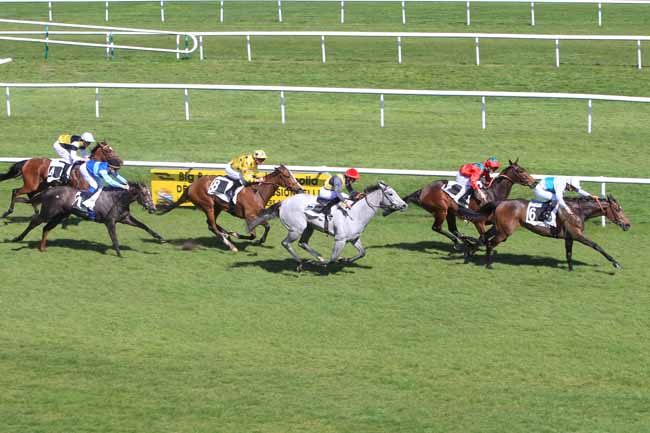 Photo d'arrivée de la course pmu PRIX DE MONTEREAU à FONTAINEBLEAU le Jeudi 30 mars 2017