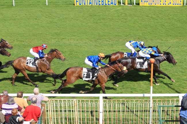 Photo d'arrivée de la course pmu PRIX DU CONSEIL MUNICIPAL DE FONTAINEBLEAU à FONTAINEBLEAU le Jeudi 30 mars 2017