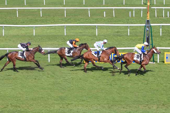 Photo d'arrivée de la course pmu PRIX DES CYPRES à FONTAINEBLEAU le Jeudi 30 mars 2017