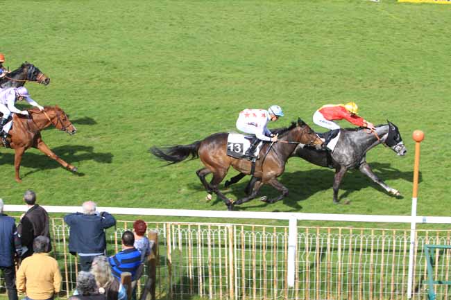 Photo d'arrivée de la course pmu PRIX DE L'OFFICE DE TOURISME DU PAYS DE FONTAINEBLEAU à FONTAINEBLEAU le Jeudi 30 mars 2017
