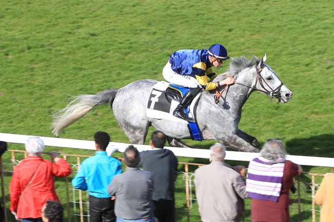 Photo d'arrivée de la course pmu PRIX DU CONSEIL DEPARTEMENTAL DE SEINE ET MARNE à FONTAINEBLEAU le Jeudi 30 mars 2017