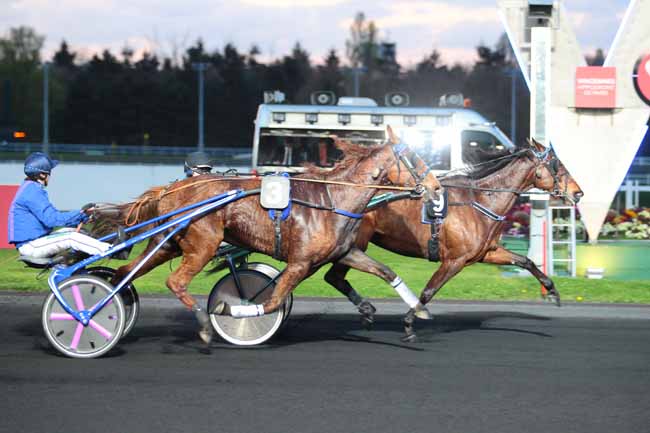 Photo d'arrivée de la course pmu PRIX AMALTHEA à PARIS-VINCENNES le Vendredi 31 mars 2017