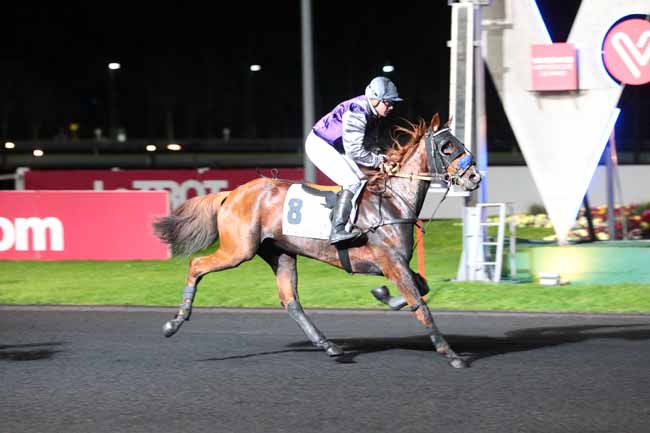 Photo d'arrivée de la course pmu PRIX ALCOR à PARIS-VINCENNES le Vendredi 31 mars 2017
