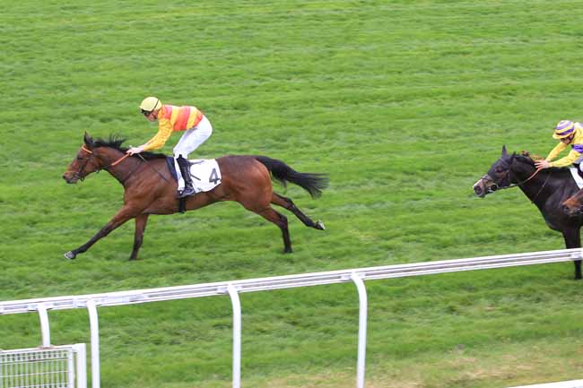 Photo d'arrivée de la course pmu PRIX DE CONFLANS SAINTE-HONORINE à MAISONS-LAFFITTE le Vendredi 31 mars 2017