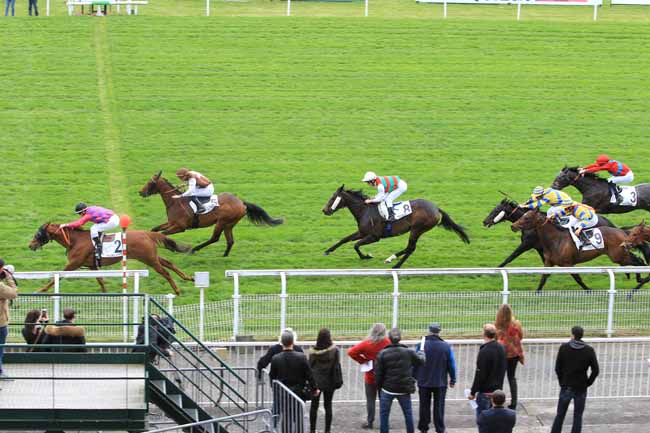 Photo d'arrivée de la course pmu PRIX DE GELOS à MAISONS-LAFFITTE le Vendredi 31 mars 2017