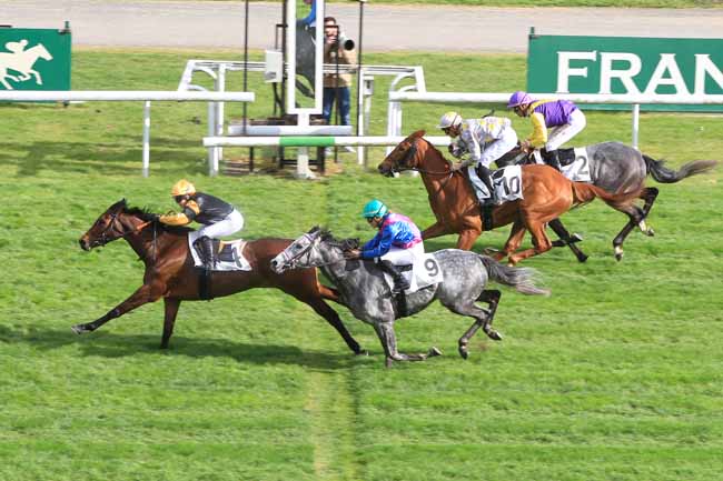 Photo d'arrivée de la course pmu PRIX DU ROND ADAM à MAISONS-LAFFITTE le Vendredi 31 mars 2017