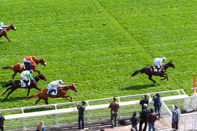 Photo d'arrivée de la course pmu PRIX GENERAL DE ROUGEMONT à AUTEUIL le Samedi 1 avril 2017