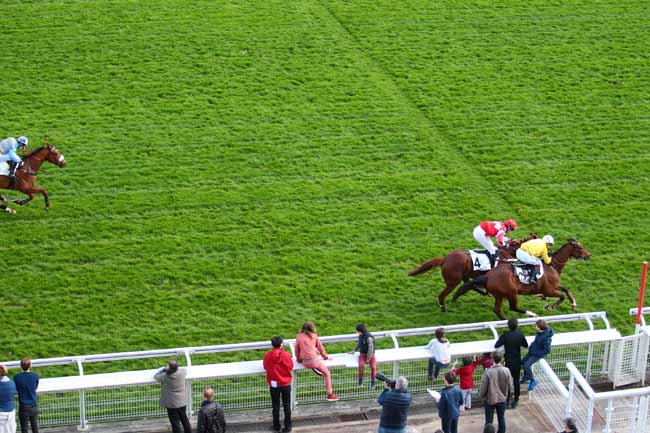Photo d'arrivée de la course pmu PRIX GUY HUNAULT à AUTEUIL le Samedi 1 avril 2017