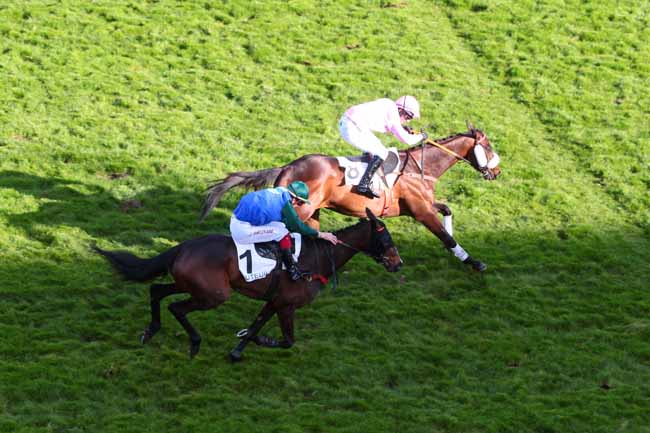 Photo d'arrivée de la course pmu PRIX KASHNIL à AUTEUIL le Samedi 1 avril 2017