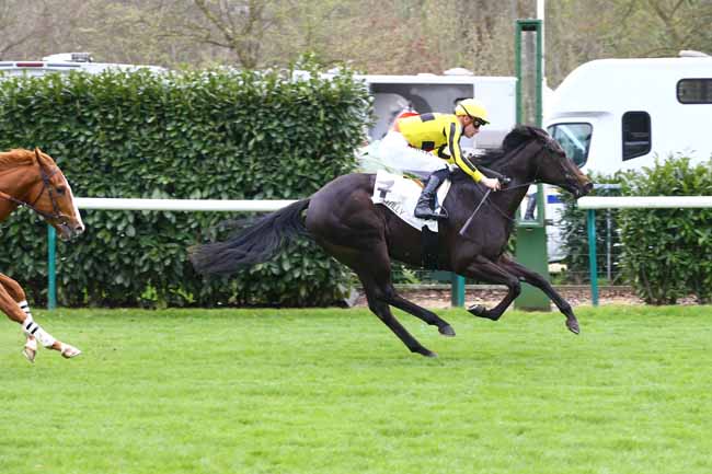 Photo d'arrivée de la course pmu PRIX DES NOUVEAUTES à CHANTILLY le Mardi 4 avril 2017