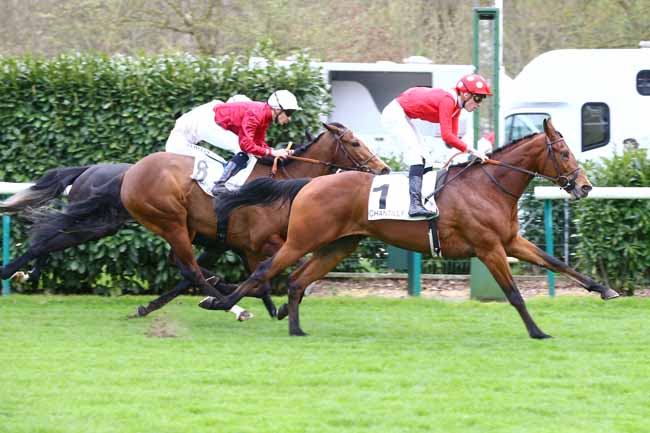 Photo d'arrivée de la course pmu PRIX DE LA FRANCILIENNE à CHANTILLY le Mardi 4 avril 2017