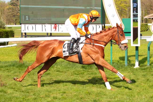 Photo d'arrivée de la course pmu PRIX DES CADETTES à COMPIEGNE le Mardi 4 avril 2017
