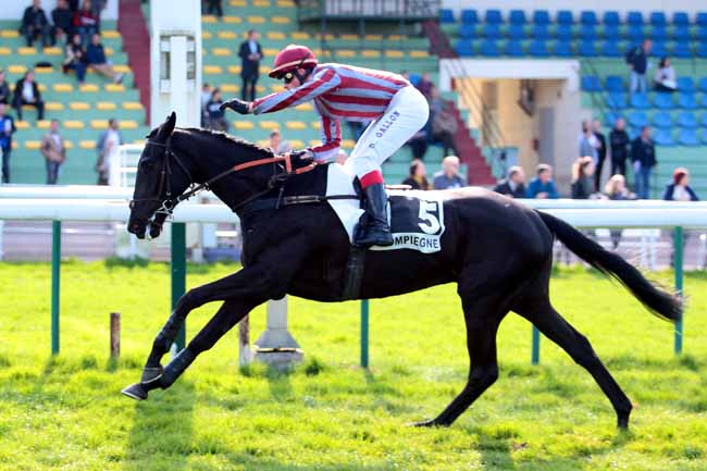 Photo d'arrivée de la course pmu PRIX DU BREVENT à COMPIEGNE le Mardi 4 avril 2017