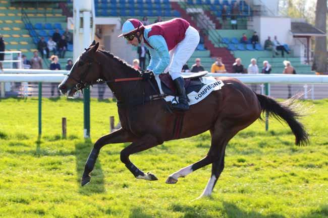 Photo d'arrivée de la course pmu PRIX DE L'AMIENOIS à COMPIEGNE le Mardi 4 avril 2017