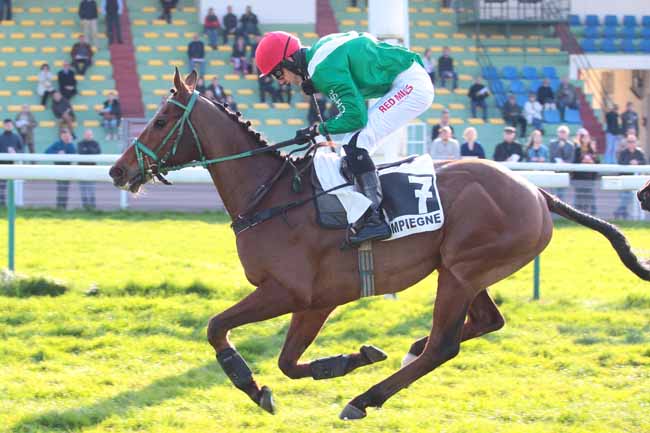 Photo d'arrivée de la course pmu PRIX DU MONT-DORE à COMPIEGNE le Mardi 4 avril 2017