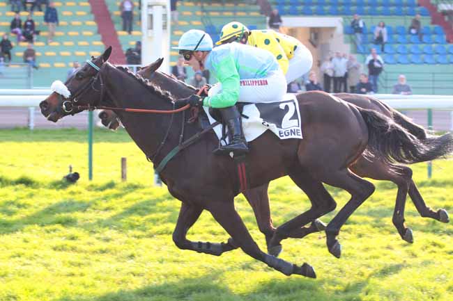 Photo d'arrivée de la course pmu PRIX JOURNALISTE à COMPIEGNE le Mardi 4 avril 2017