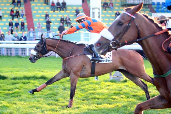 Photo d'arrivée de la course pmu PRIX FILS DE REINE à COMPIEGNE le Mardi 4 avril 2017