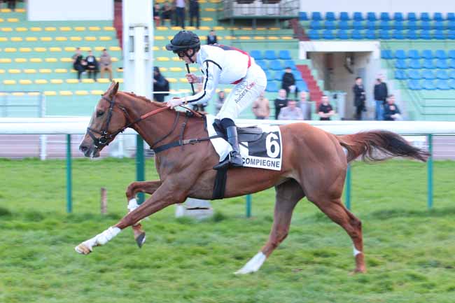 Photo d'arrivée de la course pmu PRIX ACREON à COMPIEGNE le Mardi 4 avril 2017