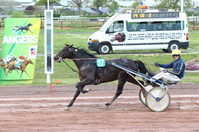 Photo d'arrivée de la course pmu GRAND PRIX ANGERS LOIRE METROPOLE à ANGERS le Mercredi 5 avril 2017