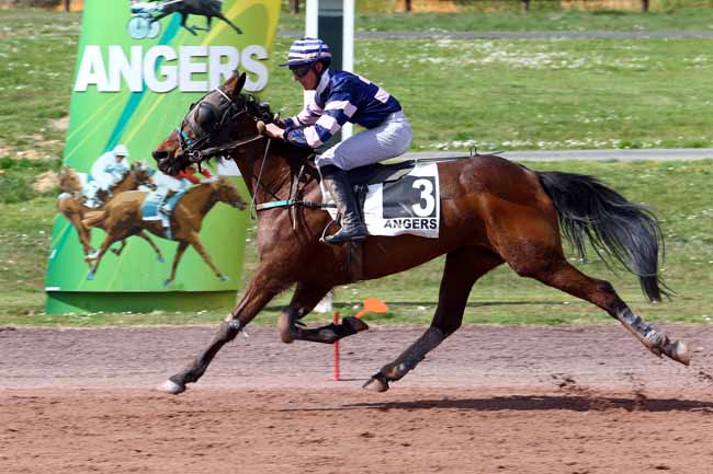 Photo d'arrivée de la course pmu PRIX DE L'AUBIER à ANGERS le Mercredi 5 avril 2017