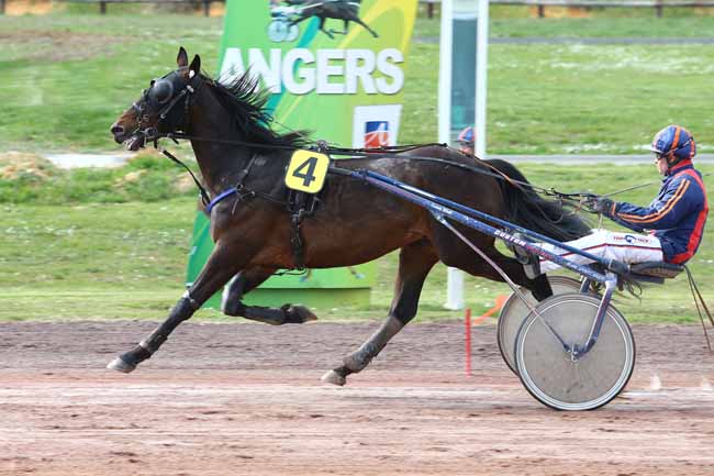 Photo d'arrivée de la course pmu PRIX GELINOTTE à ANGERS le Mercredi 5 avril 2017