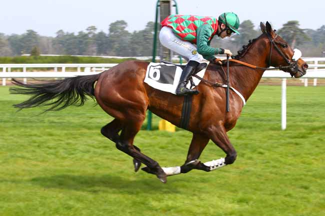 Photo d'arrivée de la course pmu PRIX DE LA SOCIETE DES COURSES DE MOULINS à FONTAINEBLEAU le Mercredi 5 avril 2017