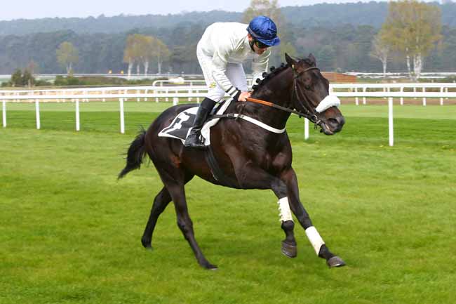 Photo d'arrivée de la course pmu PRIX DE MILLY-LA-FORET à FONTAINEBLEAU le Mercredi 5 avril 2017