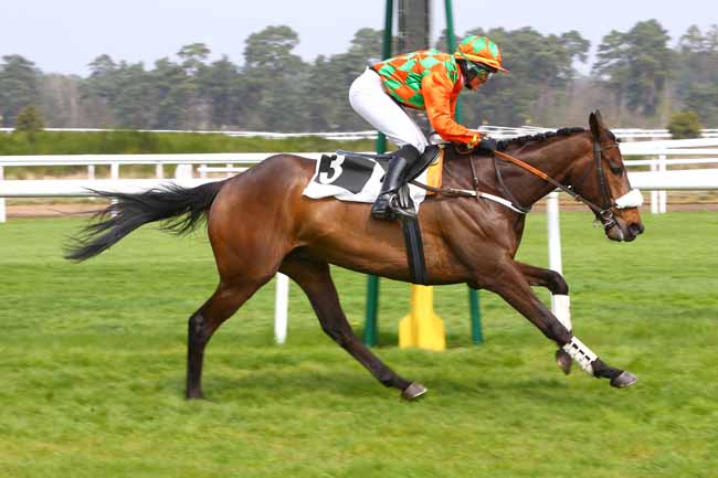 Photo d'arrivée de la course pmu PRIX DE LA MARE - PIAT à FONTAINEBLEAU le Mercredi 5 avril 2017