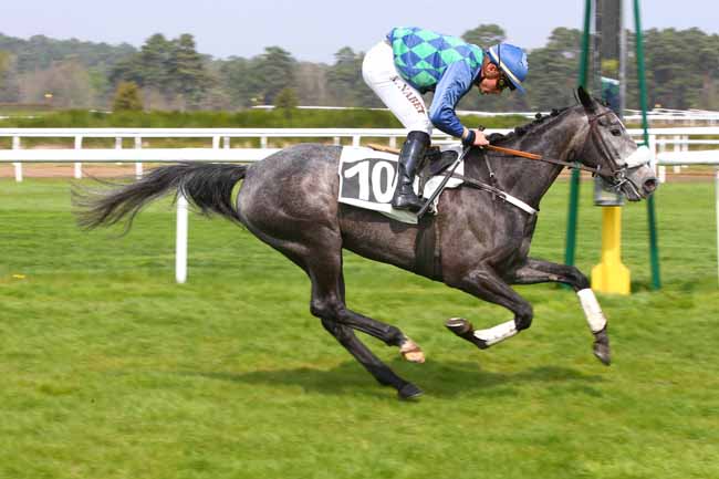 Photo d'arrivée de la course pmu PRIX DE LA TILLAIE à FONTAINEBLEAU le Mercredi 5 avril 2017