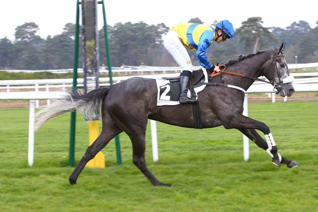 Photo d'arrivée de la course pmu PRIX D'ENGHIEN à FONTAINEBLEAU le Mercredi 5 avril 2017
