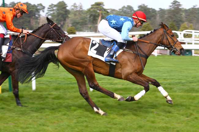 Photo d'arrivée de la course pmu PRIX DE LA MARE AUX COULEUVRES à FONTAINEBLEAU le Mercredi 5 avril 2017