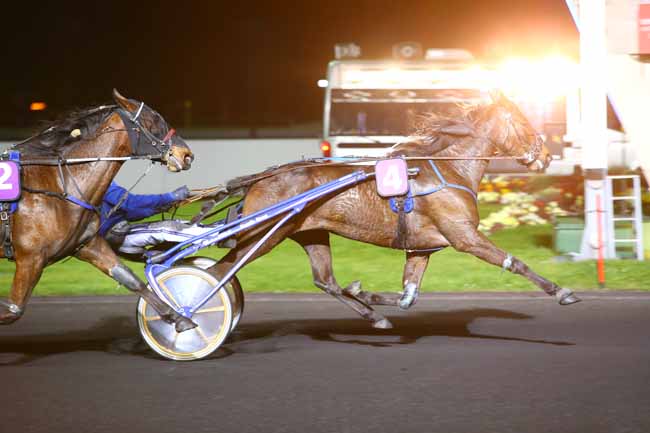 Photo d'arrivée de la course pmu PRIX AQUILA à PARIS-VINCENNES le Vendredi 7 avril 2017