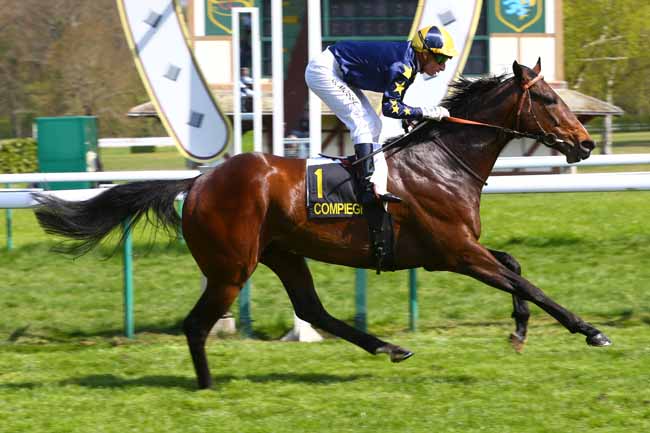 Photo d'arrivée de la course pmu PRIX HIPPOMENE à COMPIEGNE le Vendredi 7 avril 2017