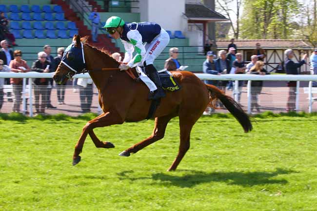Photo d'arrivée de la course pmu PRIX DE CLERMONT DE L'OISE à COMPIEGNE le Vendredi 7 avril 2017