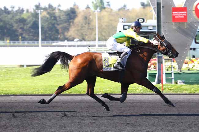 Photo d'arrivée de la course pmu PRIX THEOPHILE LALLOUET à PARIS-VINCENNES le Samedi 8 avril 2017